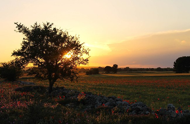 ristoranti san giovanni rotondo